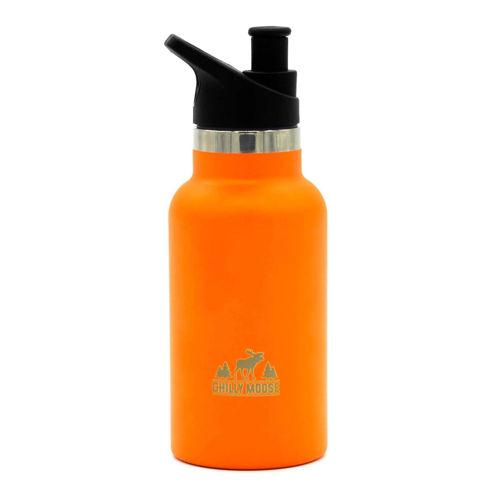 【未使用】万博　アメリカ館　WATER BOTTLE 500ml Chilly Moose Bottles - Ontario Parks 25oz Turtle Bottle