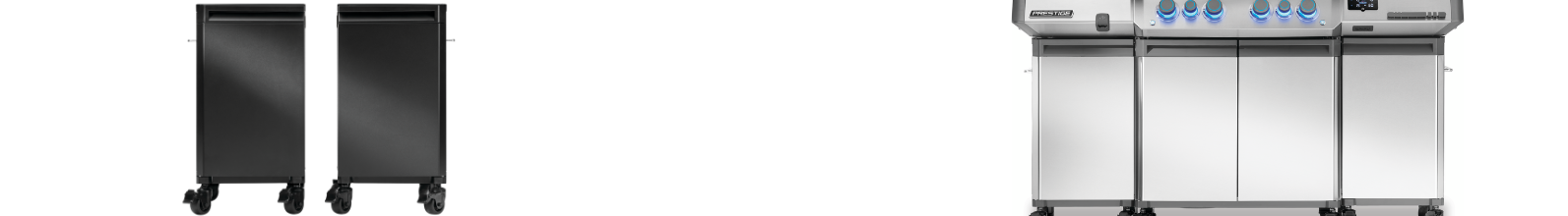 Napoleon Grill Storage