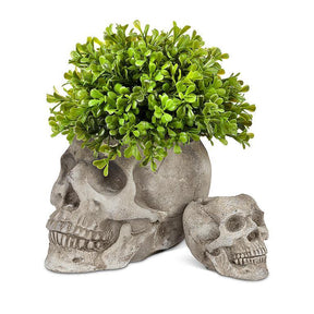 Skull Planter