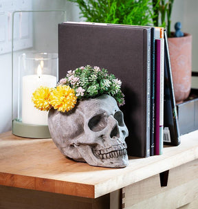 Skull Planter