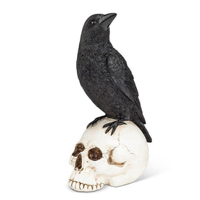 Raven Perched on Skull