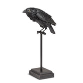 Large Crow on Perch