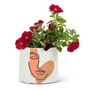 Small Modern Face Planter