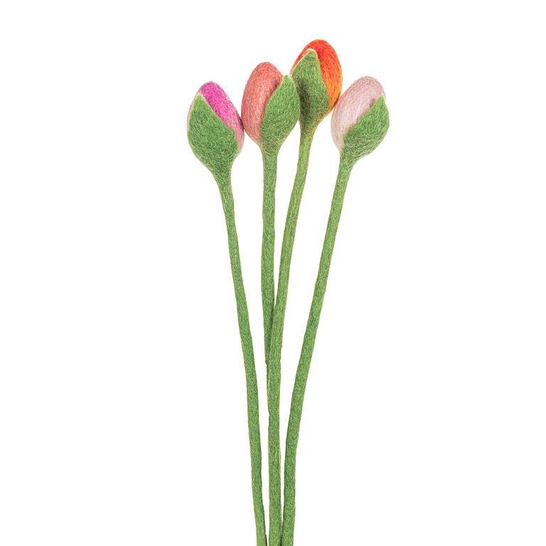 Tulip Stem with Leaf