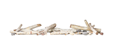 Standard Birch Log Kit - Medium
