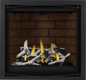 Altitude™ X 36 Direct Vent Gas Fireplace