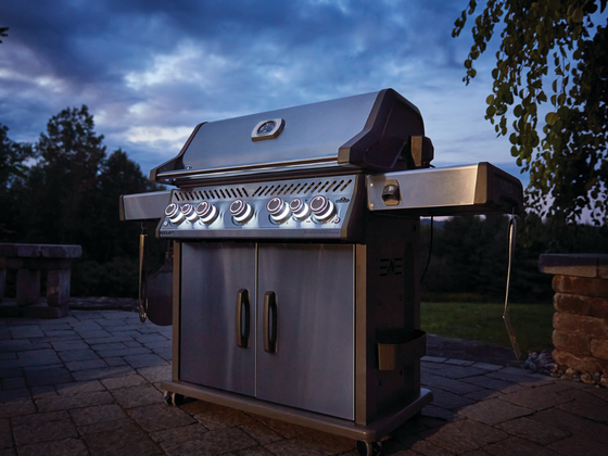 PRO 500 Prestige® 500 Built-in Grill Cover - Main Image