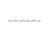 Birch Log Kit with Rocks for Entice™ 60