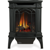 Arlington™ Direct Vent Stove, Natural Gas, Millivolt Ignition - Black