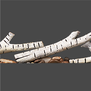 Birch Log Kit with Rocks for Entice™ 72