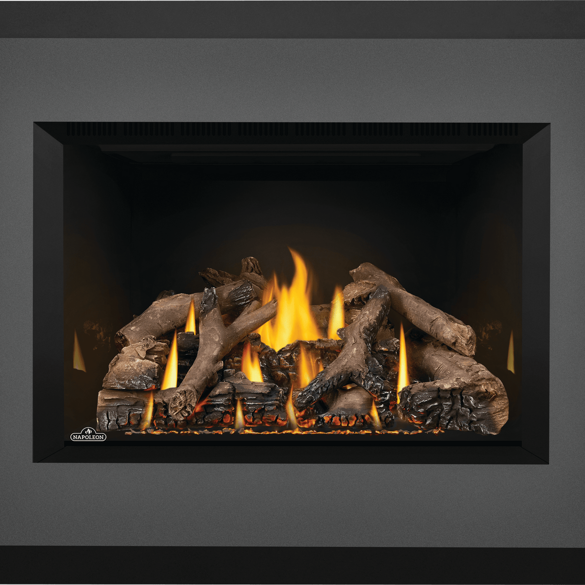 Oakville™ X4 Gas Fireplace Insert Oakville™ X4 Gas Fireplace Insert